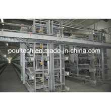 Poul Tech Hot Galvanization Layer Chicken Cage Equipment